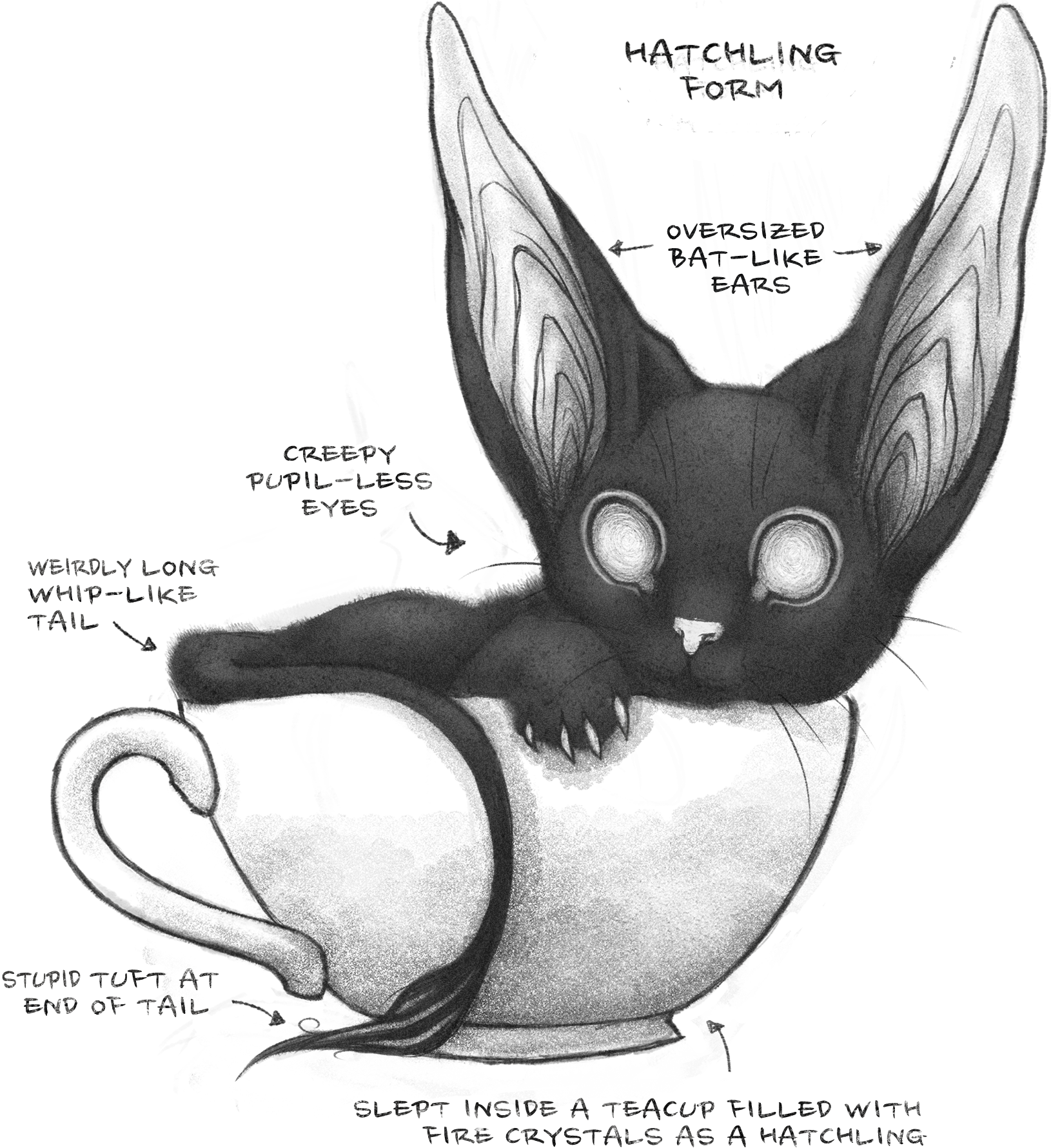 Calcifer the time mimic in a teacup